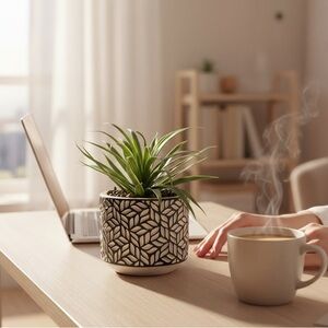 Geometric Patterned Planter with Green Plant